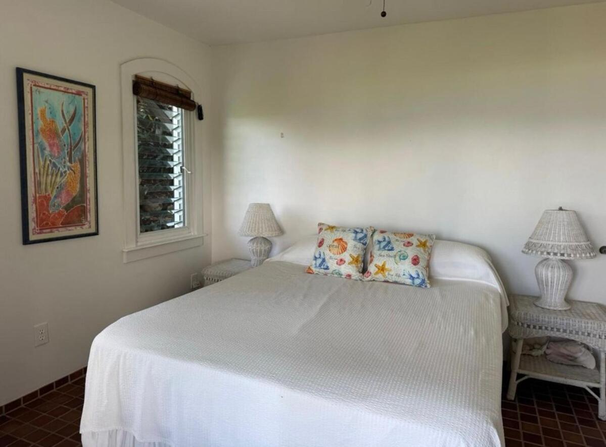 Blue Pearl Villa In St John Usvi Coral Bay Exterior foto